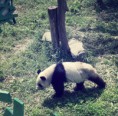 /album/galeria-de-fotos/zoo-11-jpg/